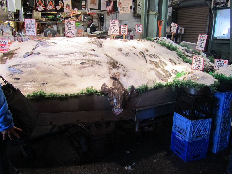 A flounder hangs over the edge