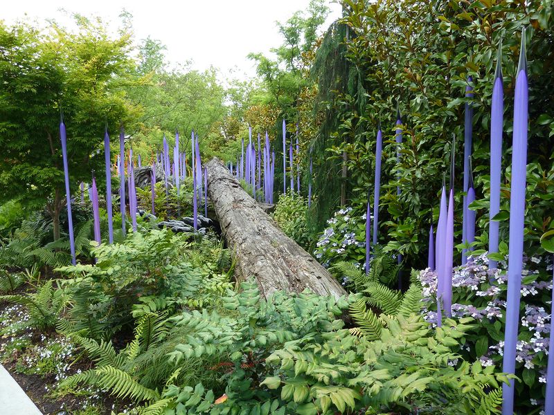 Fallen log