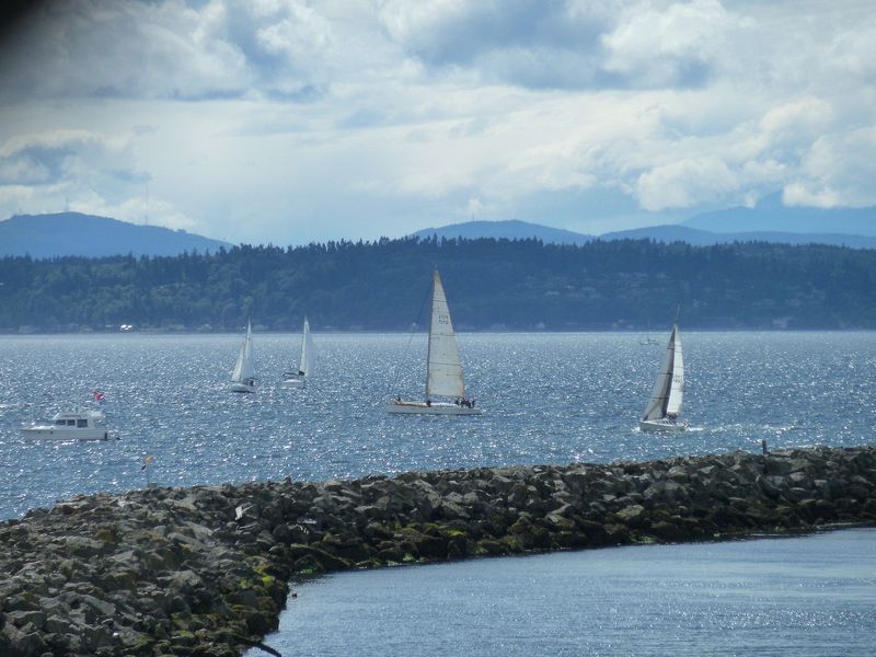 Sailboats on Puget Sound