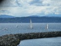 Sailboats on Puget Sound