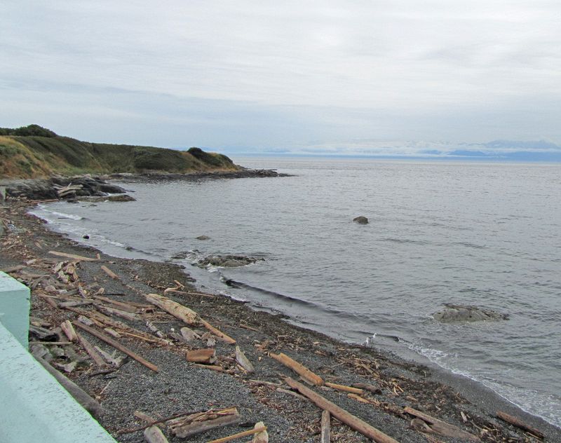 Driftwood beach