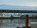 Mural on the breakwater in the Coast Salish language