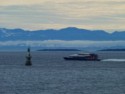 Victoria Clipper ferry