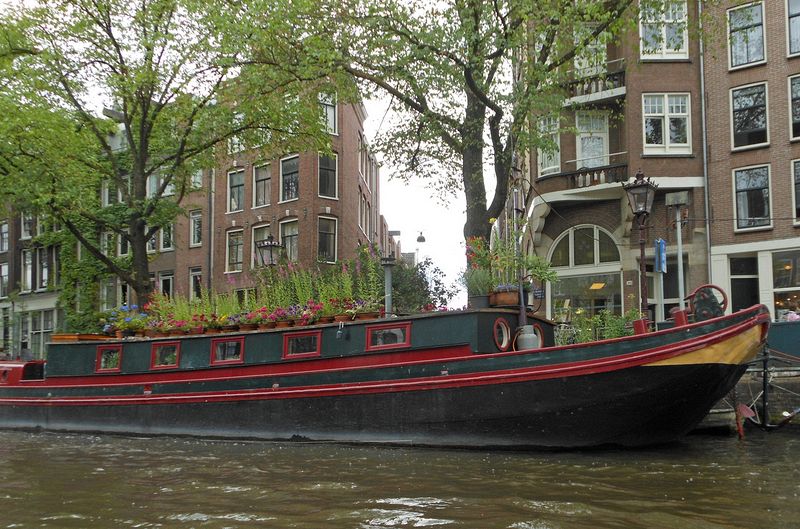 House boat topped with a flower garden