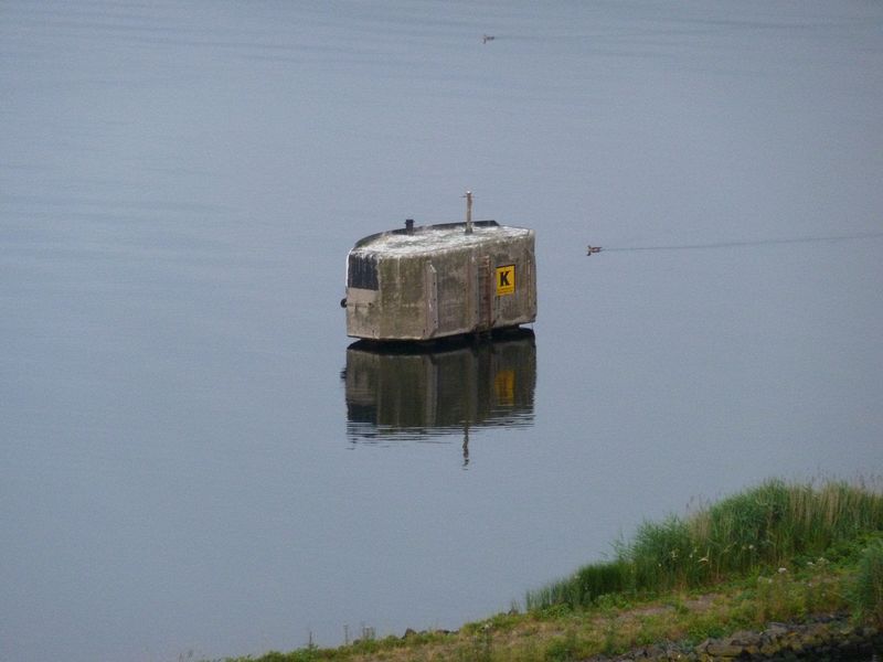 I have no idea what this is in the middle of the water