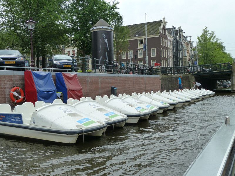 Paddleboats for rent