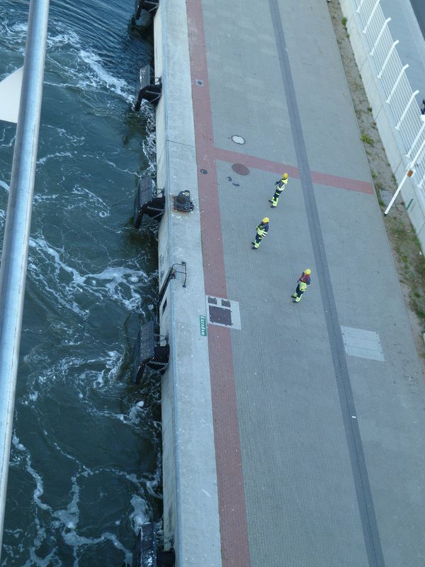 Crew at the pier