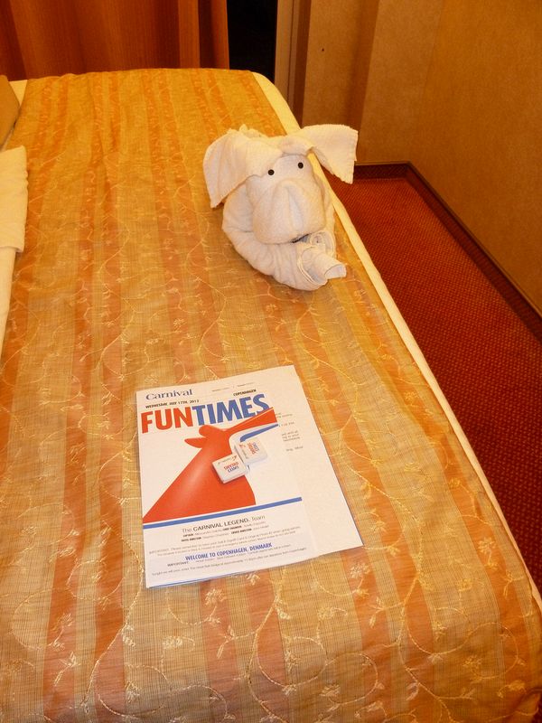 The ship's events and a towel doggy