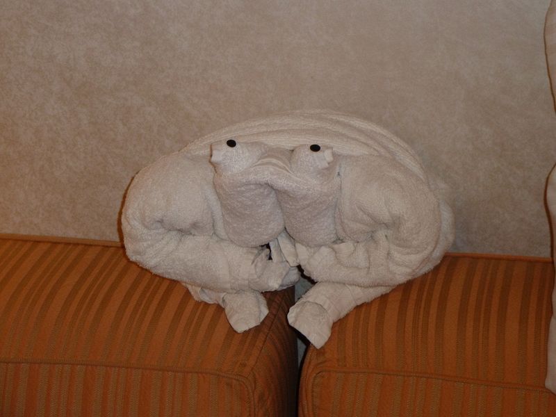 Towel frog