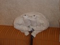 Towel frog