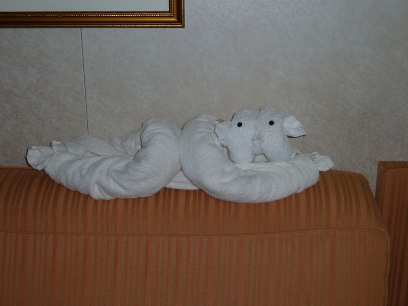 Towel pig