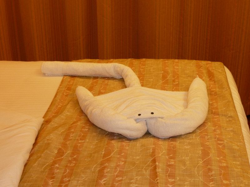 Towel stingray