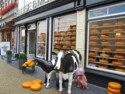 Cheese shop