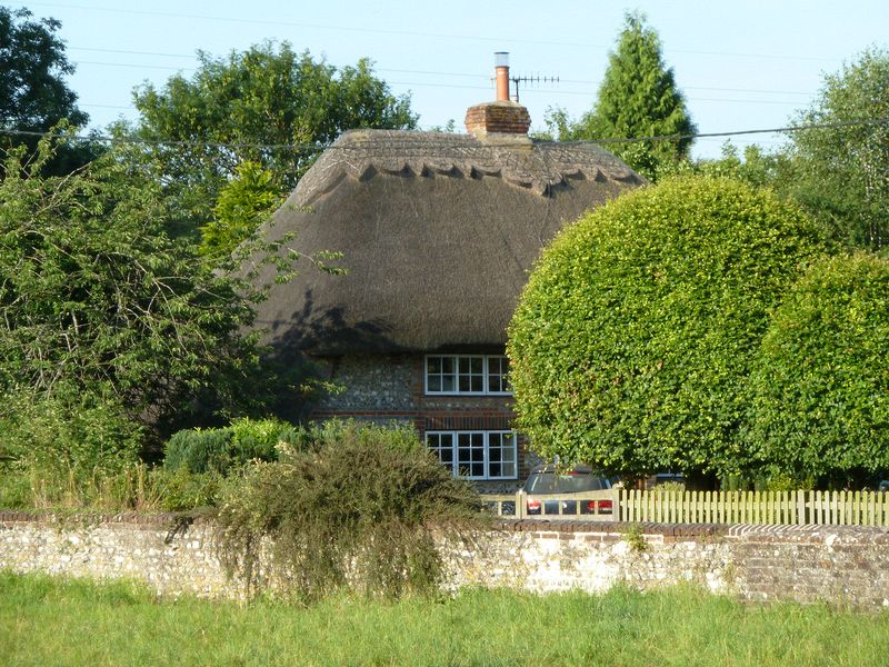 A thatched house