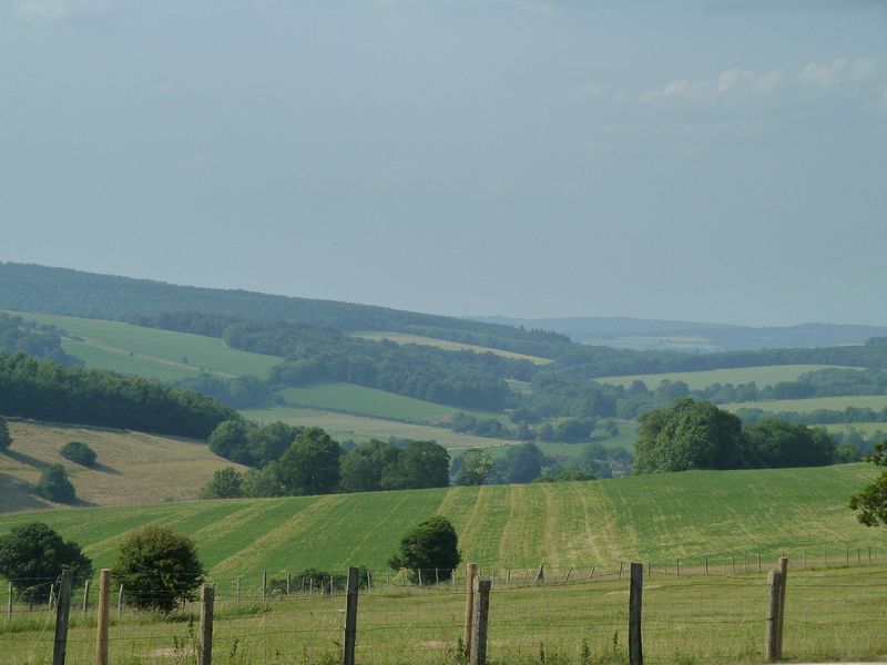 Countryside near Chichester where Ehren used to live