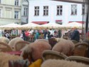 Fur-covered chairs at an open-air cafe