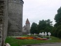 Garden next to the wall