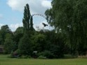 The Wheel of York in the distance