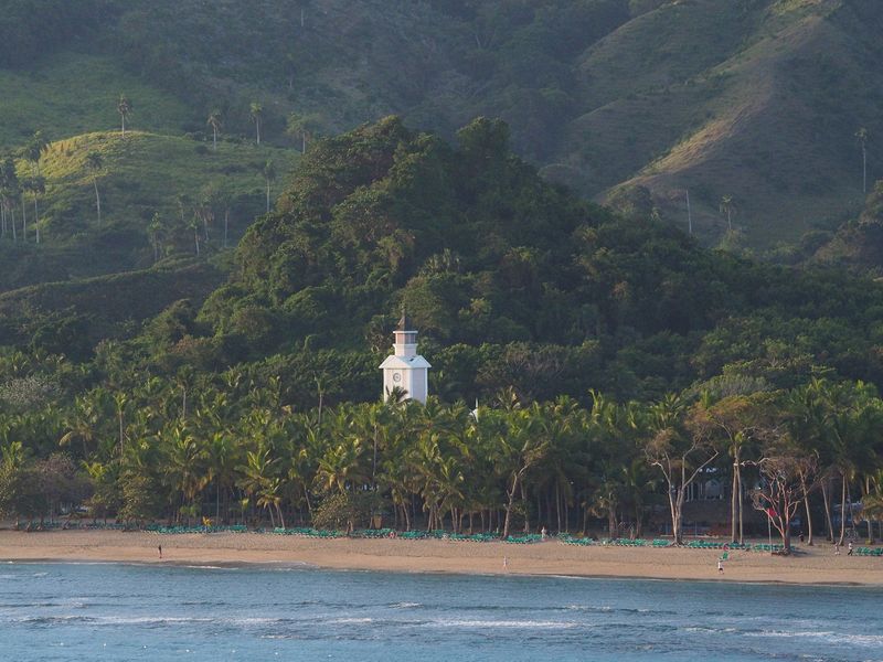 A steeple peeks above the palm trees