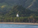 A steeple peeks above the palm trees