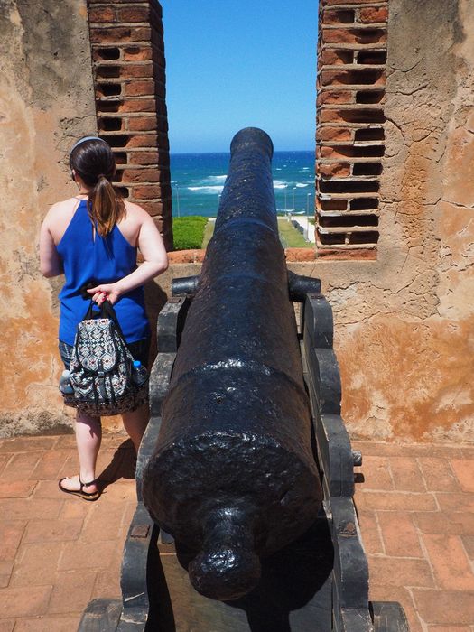 An old cannon