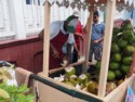 Coconut vendor