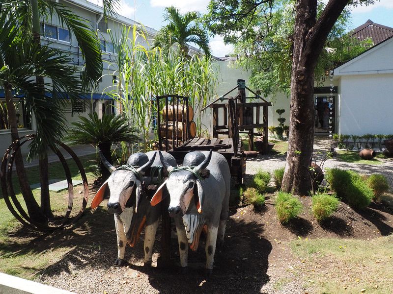 Model of how sugar cane was harvested