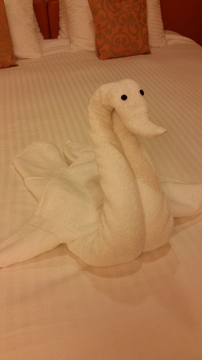 April 1st towel animal