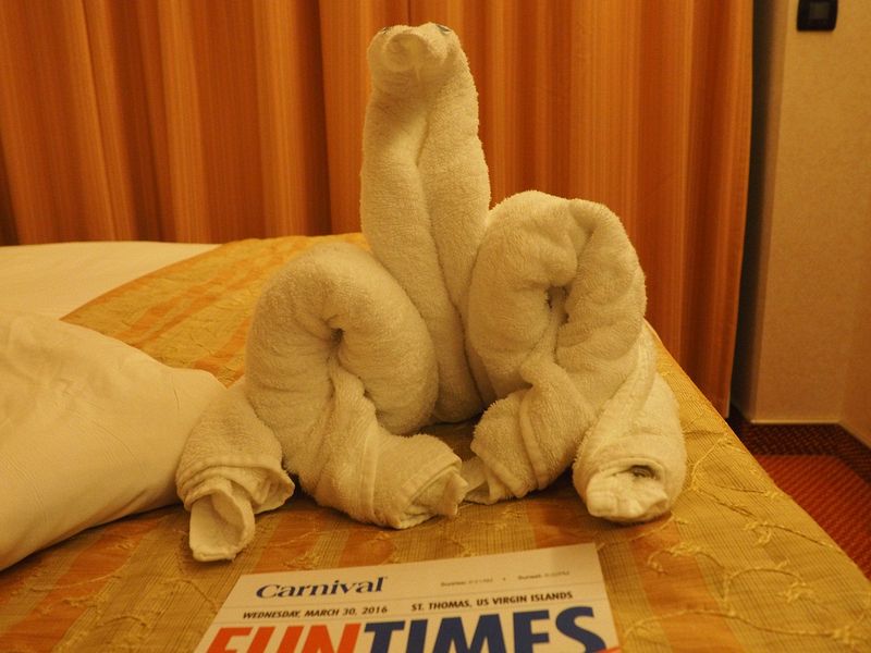 March 29th towel animal