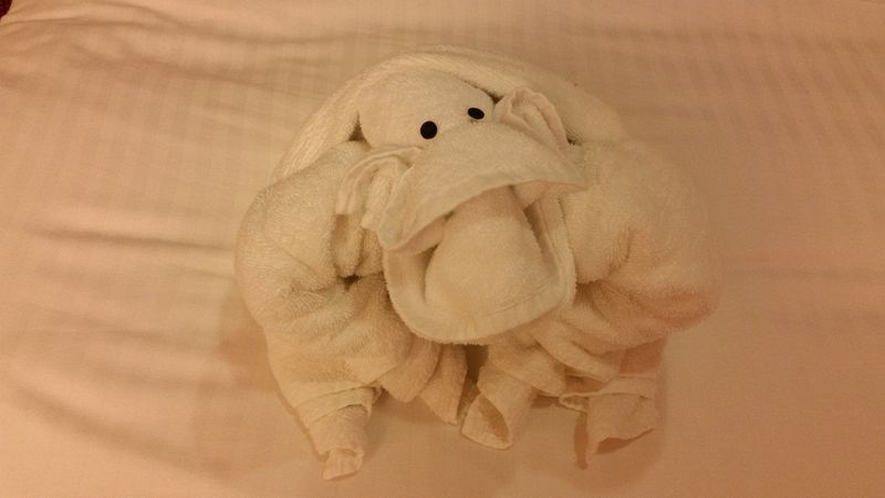 March 31st towel animal