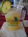 A margarita in Margaritaville