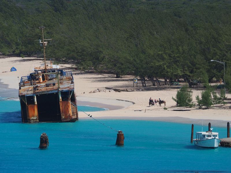 Horseback riding next to a shipwreck