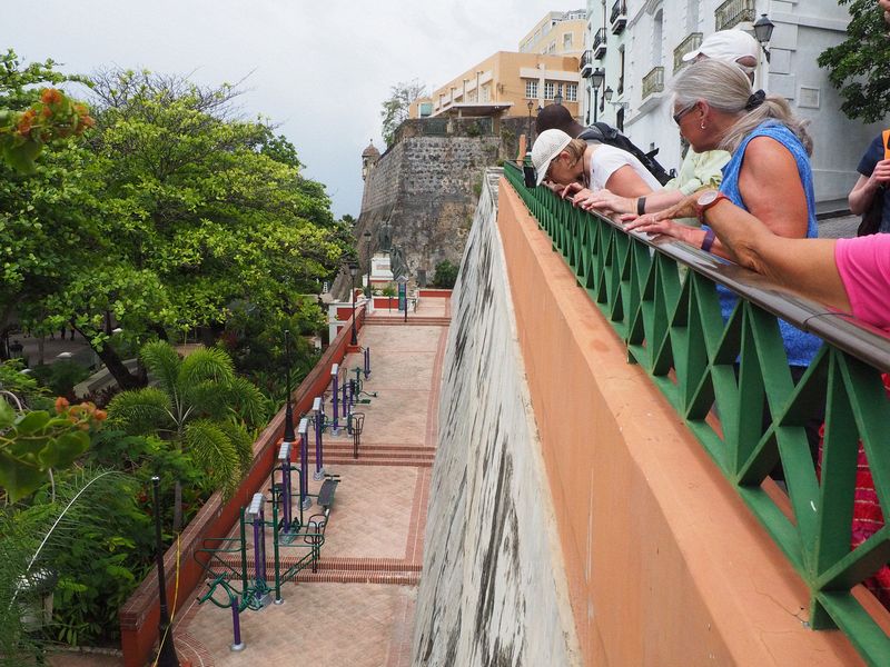 June looks over the wall