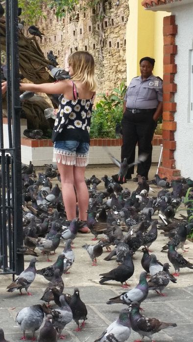 Parque De Las Palomas (Pigeon Park)