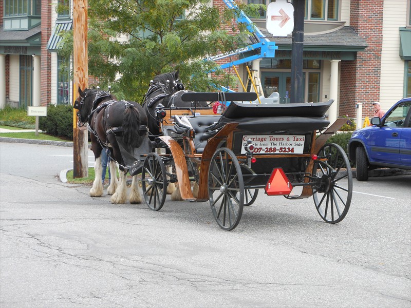 Carriage Tours