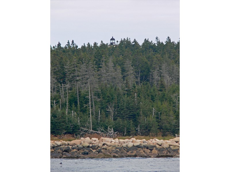 Lighthouse peeks above the trees