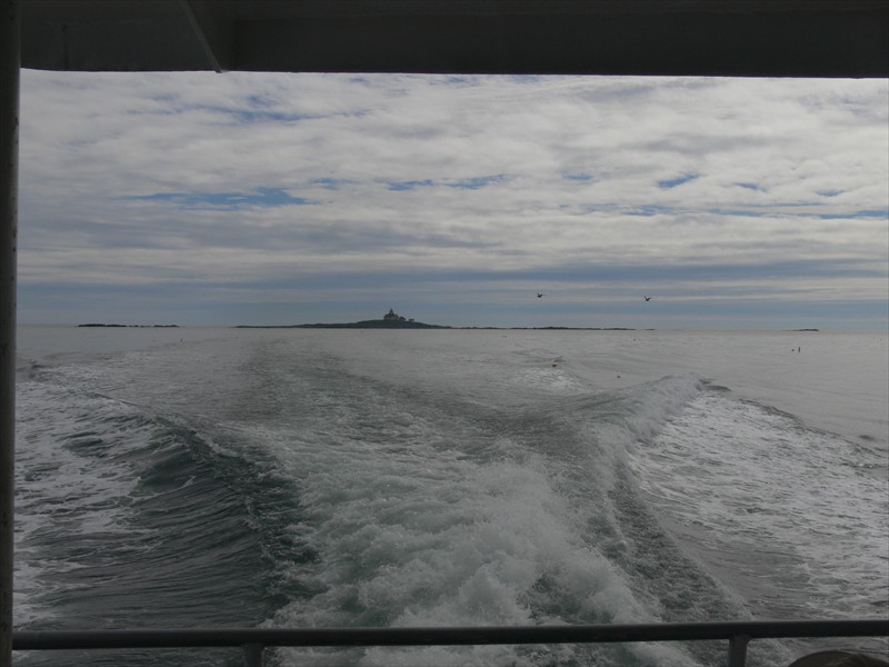 The wake of the tour boat