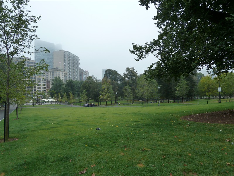 The Boston Commons