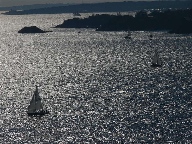 Sailboats on sparkly water