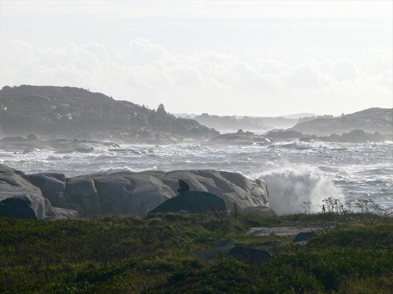 Rocky coastline 1