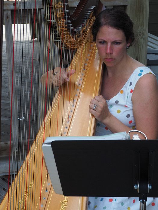 Harpist