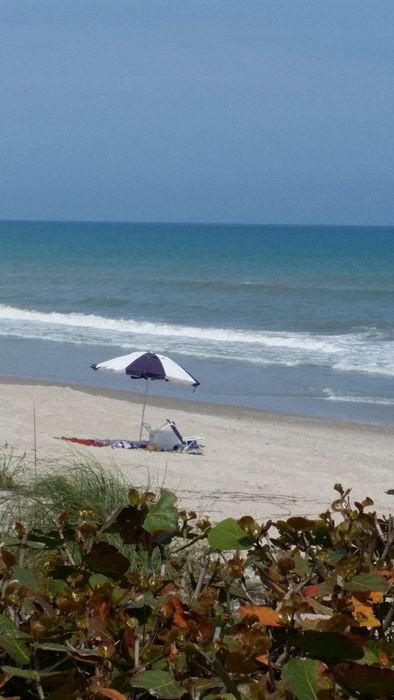 Umbrella on the beach