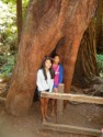 Girls in a tree