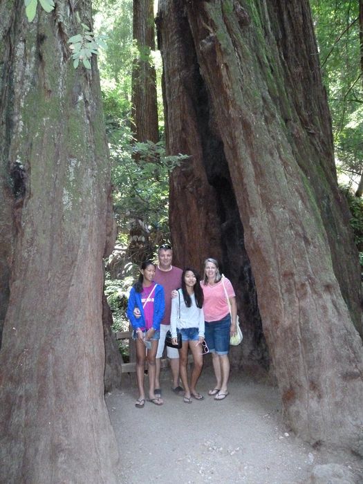 The whole family fits in this tree