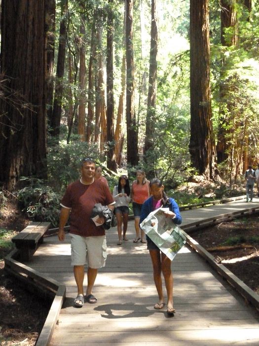 Walking in Muir Woods