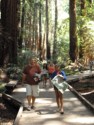 Walking in Muir Woods