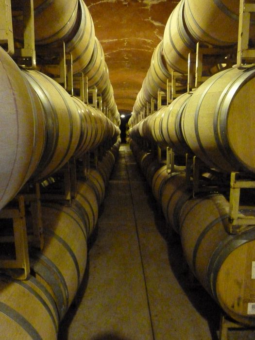 Wine barrels in a cave