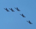Five Snowbirds in formation