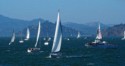 Lots of sail boats on the Bay