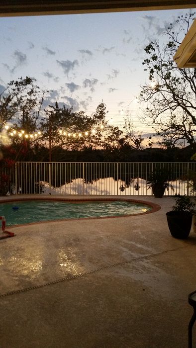 Back yard at sunset